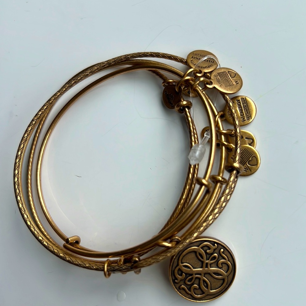 Alex and Ani Charm Bangle Bracelet- Rafaelian Gold Finish (expandable)